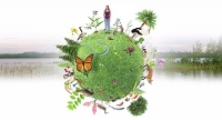 Día Mundial del Medio Ambiente Junio 5 de junio