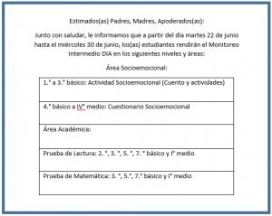 Monitoreo Intermedio DIA en los siguientes niveles y áreas